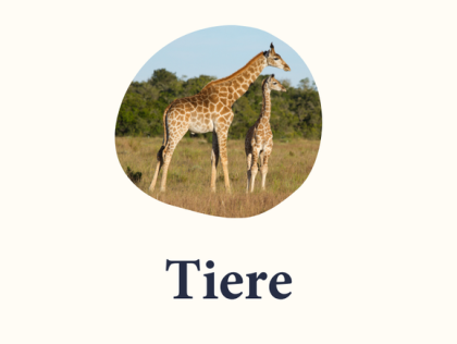 Wilde Tiere und im Wasser